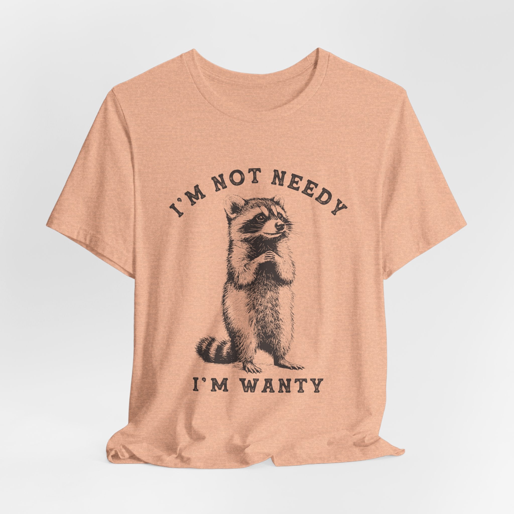 Raccoon Tee — "I’m Not Needy I’m Wanty" Vintage Illustration T-Shirt