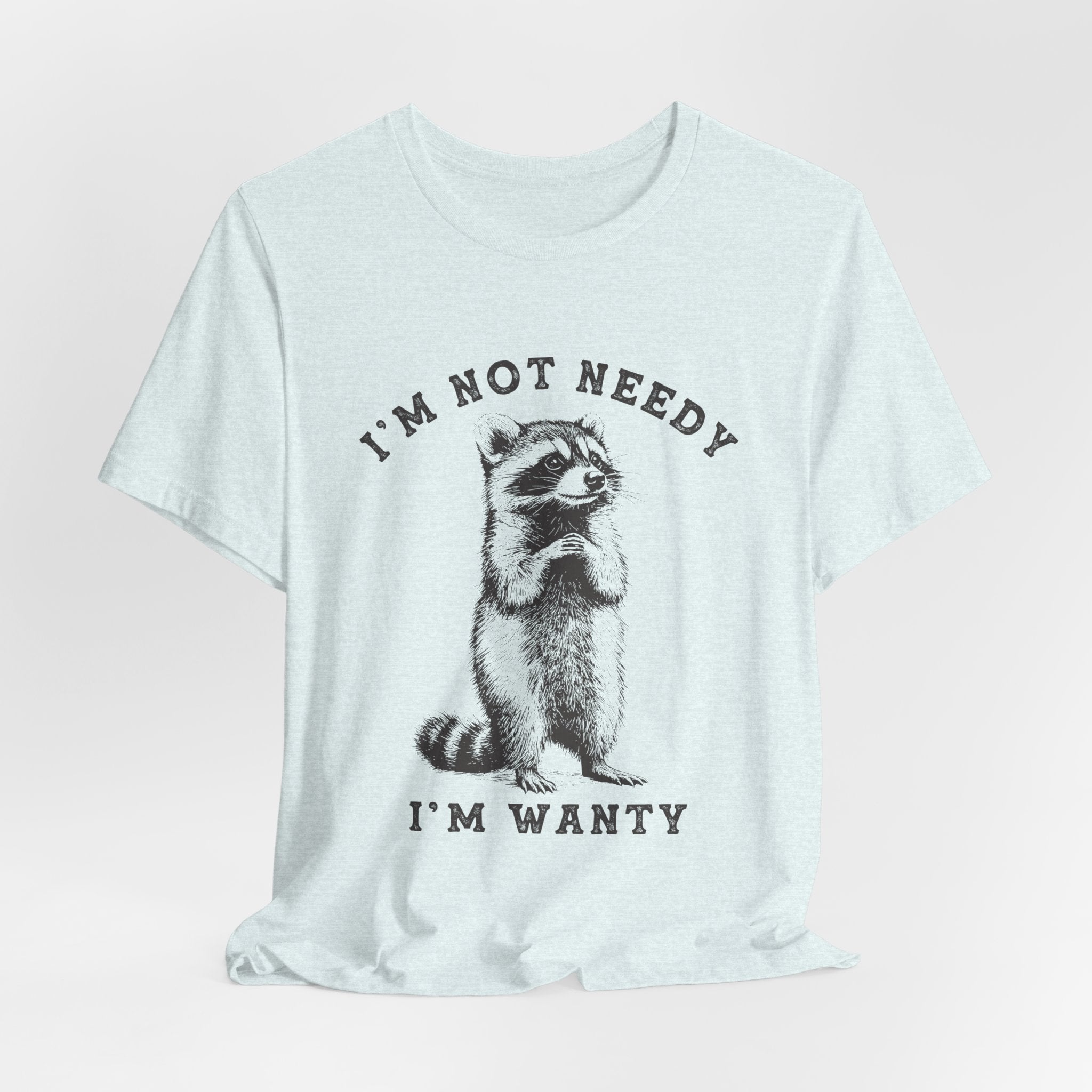 Raccoon Tee — "I’m Not Needy I’m Wanty" Vintage Illustration T-Shirt