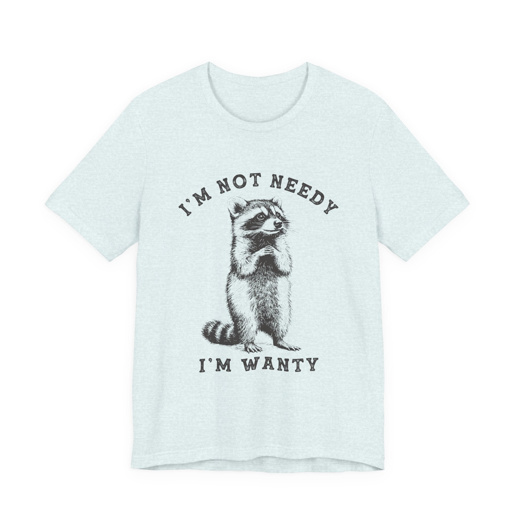 Raccoon Tee — "I’m Not Needy I’m Wanty" Vintage Illustration T-Shirt