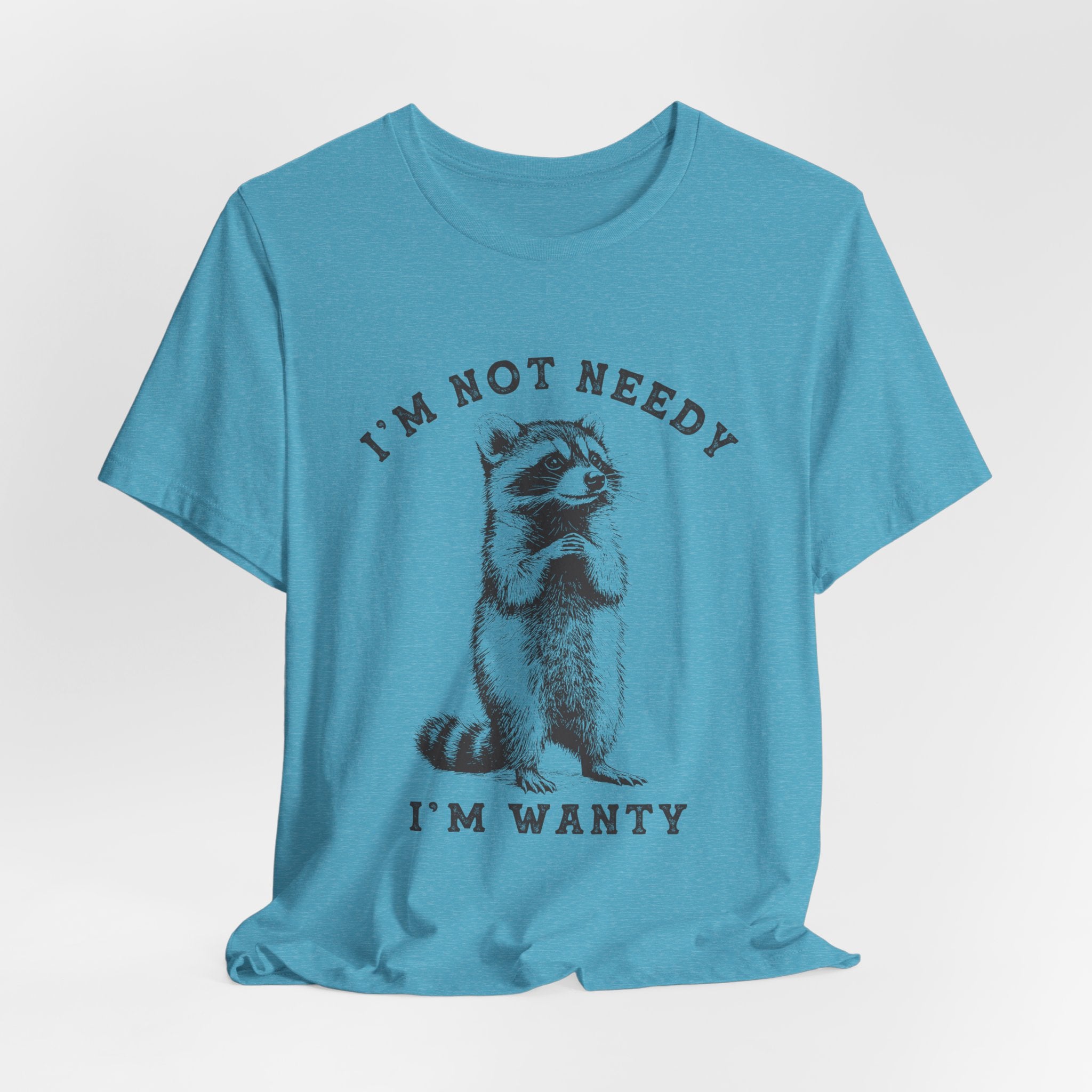 Raccoon Tee — "I’m Not Needy I’m Wanty" Vintage Illustration T-Shirt
