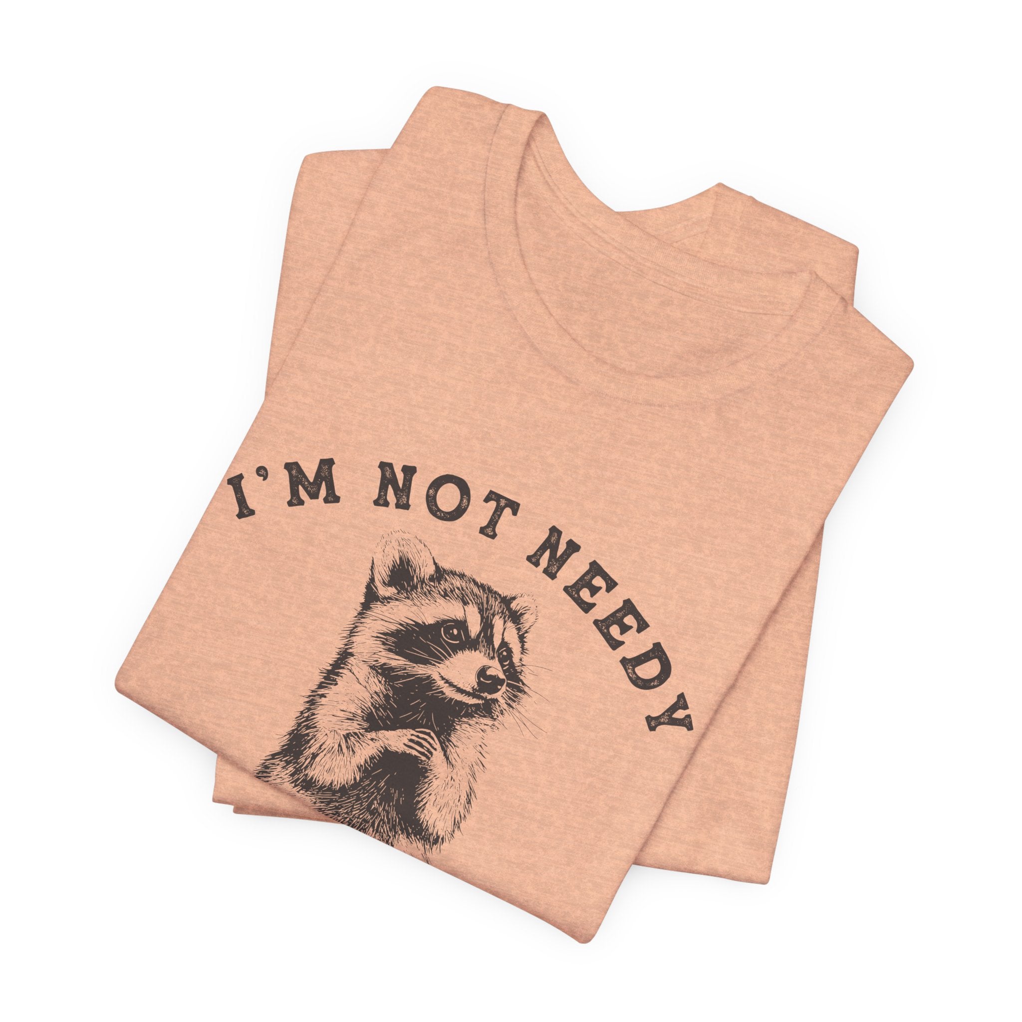 Raccoon Tee — "I’m Not Needy I’m Wanty" Vintage Illustration T-Shirt