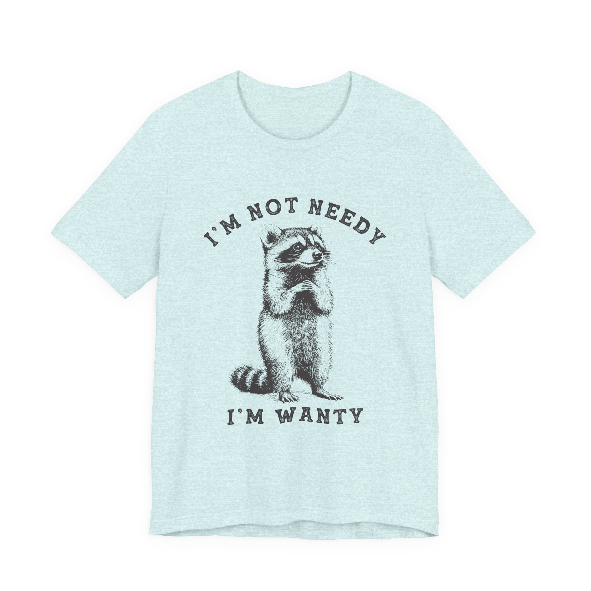 Raccoon Tee — "I’m Not Needy I’m Wanty" Vintage Illustration T-Shirt