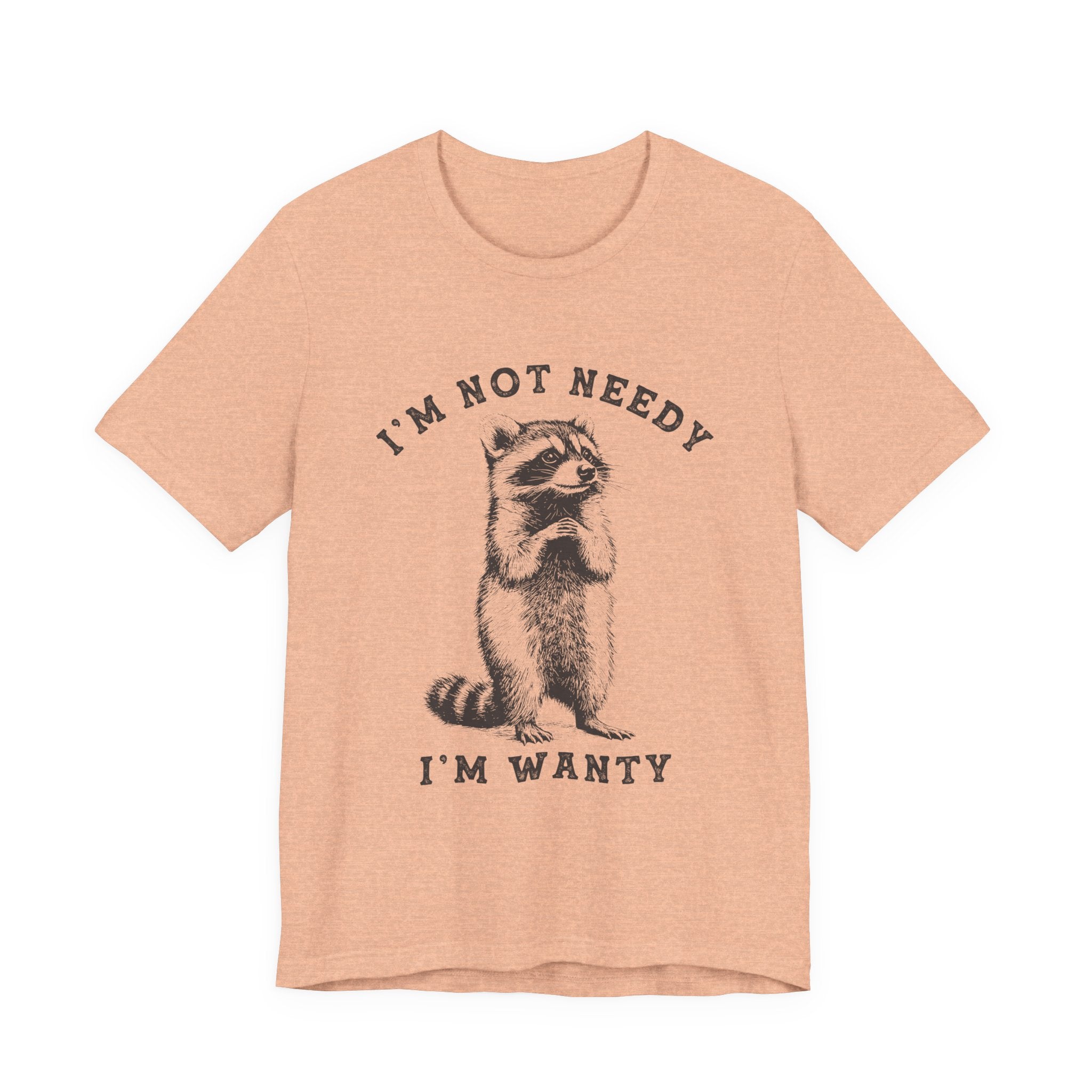 Raccoon Tee — "I’m Not Needy I’m Wanty" Vintage Illustration T-Shirt