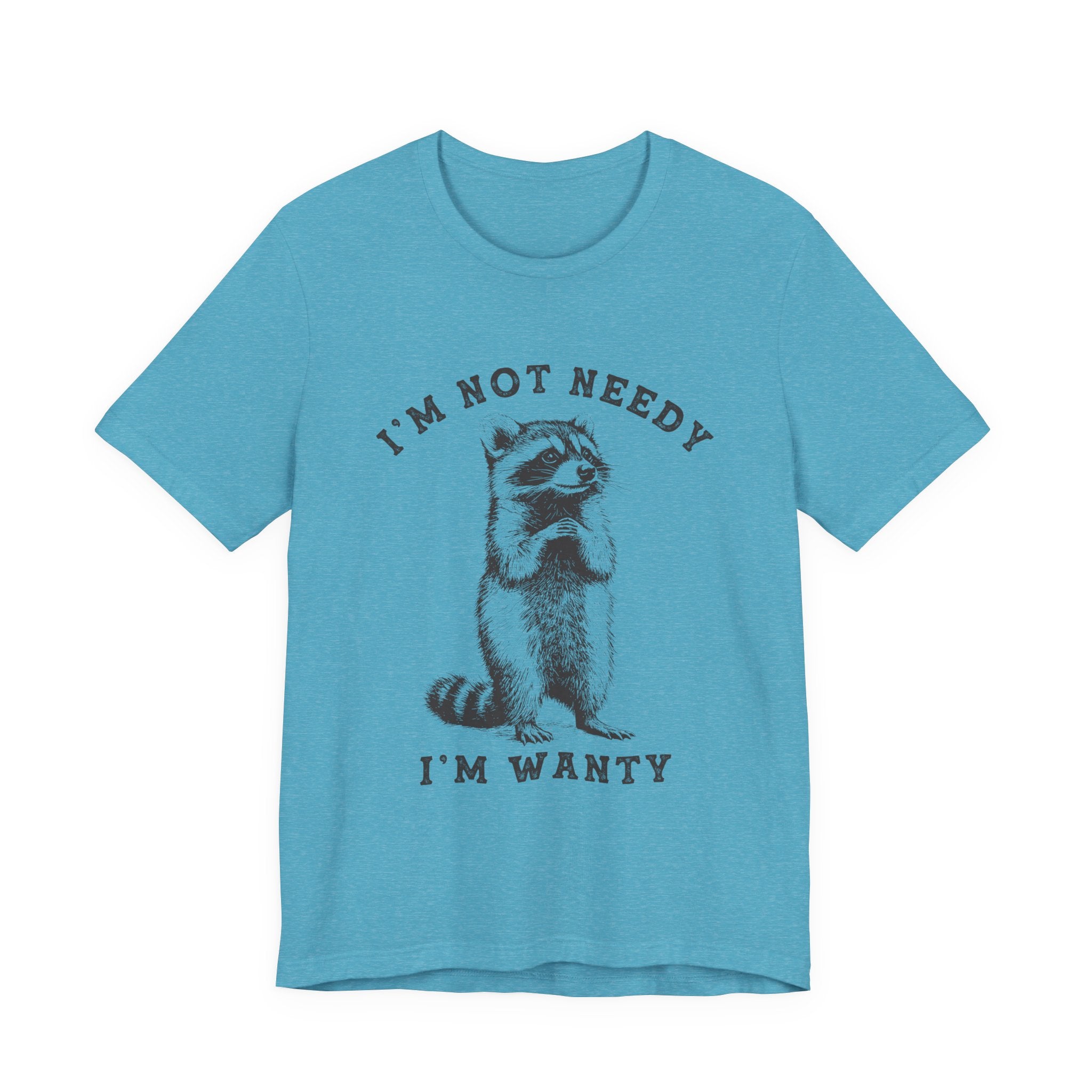 Raccoon Tee — "I’m Not Needy I’m Wanty" Vintage Illustration T-Shirt